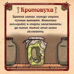 17490976.webp