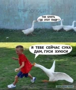 16259864.webp