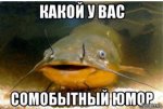 17505144.jpg 17505144.jpg