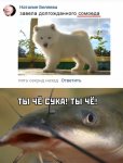 17505140.jpg 17505140.jpg