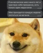 17509814.webp