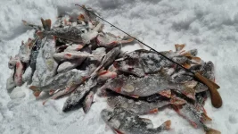 IMG-20221219-WA0013.webp