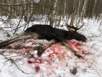 IMG-20221219-WA0015.webp