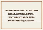 17511172.jpg