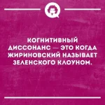 17511160.webp