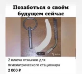 17514871.webp