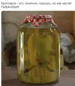 17518097.webp