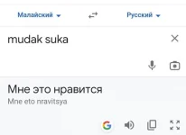 17524441.webp