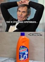 17526923.webp