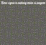 17529182.webp