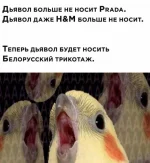 17524088.webp