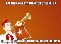 17533054.webp
