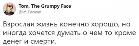 17533046.webp