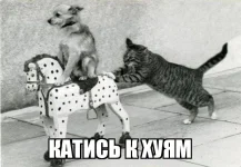 demotivatorium_ru__22792.webp