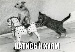 demotivatorium_ru__22792.jpg