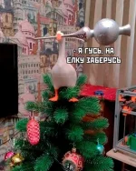 17544304.webp