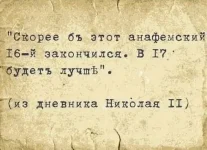 17555998.webp