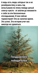 17559310.webp