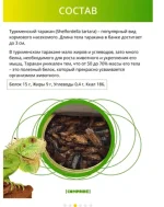17568098.webp