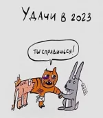 17570395.webp
