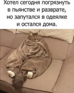 17570389.webp