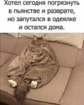 17570389.jpg 17570389.jpg