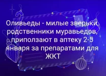 17570424.webp