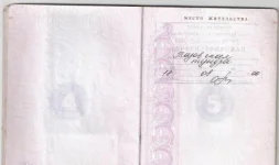 17568842.webp