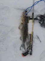 IMG-20230109-WA0006.webp