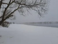 IMG-20230109-WA0004.webp
