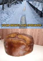 17589360.webp