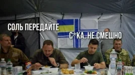 17589581.webp