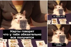 Screenshot_20230114-163404_VK.webp