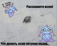 7lEeE-tO2SSH8ci50k6RkomvUy96aDp0GYTdUElfnJn0bTu3MZ6cD-qNLrLrcrBN8yMsilFqKa0b1qFotk61hnHV.webp