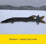 FB_IMG_1675367653982.webp
