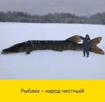 FB_IMG_1675367653982.jpg