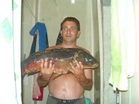 y_a9ba29d4.webp