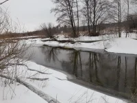 20230204_141455.jpg