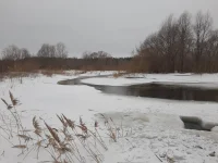 20230204_141056.webp