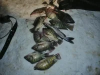 IMG-20230205-WA0008.webp