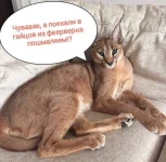 UVPb2EqRPuttgbFKDdAz1tanLs5LA9N9qVQjF5AMb9pHtJEoKIVaxm1M_rD-gGQ--s5h7j6BiPGITvTbo02zNYz6.webp