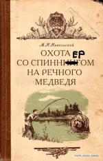 10142253.webp