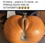 28.webp