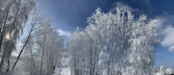 2AC24179-7EA9-4480-A41D-B85E0F0A9589.webp