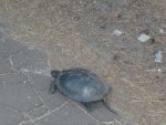 z_b1c24299 (1).jpg