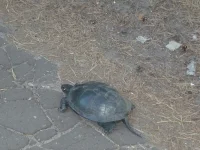 z_b1c24299 (1).webp