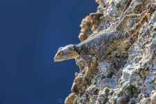 IMG_9450.jpg