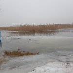 20230311_153030.jpg 20230311_153030.jpg