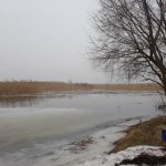 20230311_153039.jpg 20230311_153039.jpg