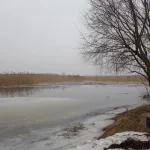 20230311_153039.webp
